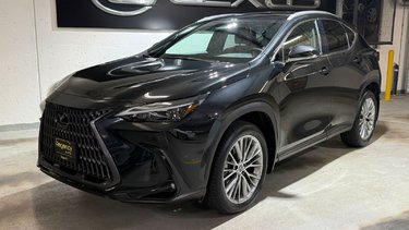 2022   NX 350h