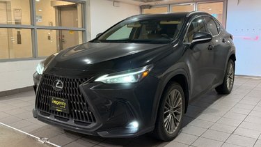 2022   NX 350h