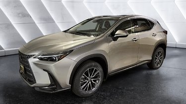 2023   NX 350h