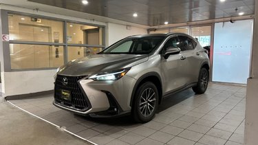 2023   NX 350h
