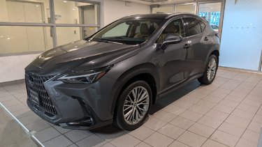 2024   NX 350h