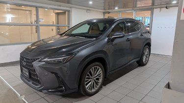 2024   NX 350h