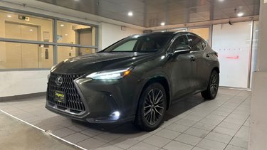 2025   NX 350h