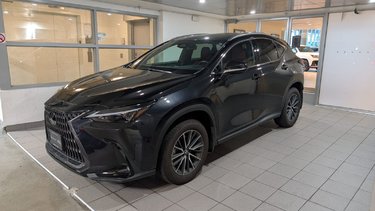 2025   PREMIUM PACKAGE