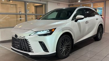 2024   Executive