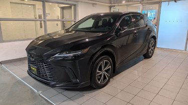2024   Premium