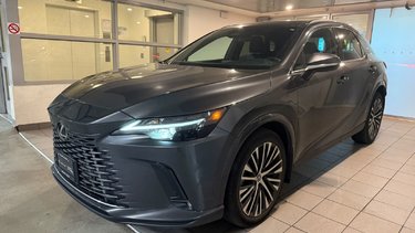 2024   LUXURY