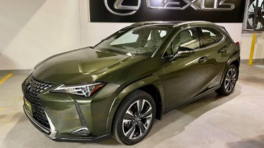 2022   UX 250h
