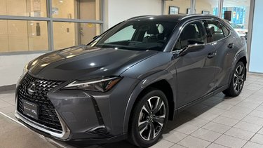 2024   UX 250h