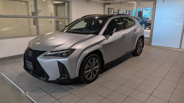 2024   F Sport 2