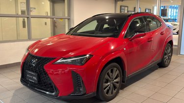 2024   UX 250h