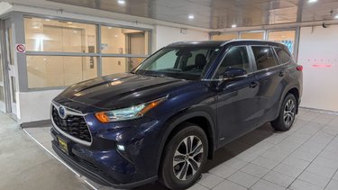 2023   Hybrid XLE