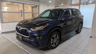 2023   Hybrid XLE