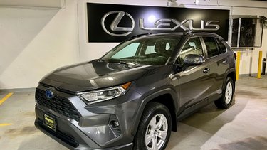 2019   AWD XLE PKG