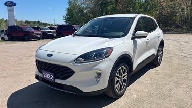 Ford Escape  2022