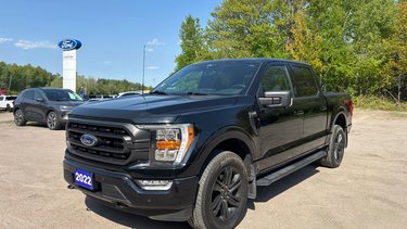 Ford F-150  2022