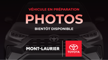 TRD Off Road 4X4 2010