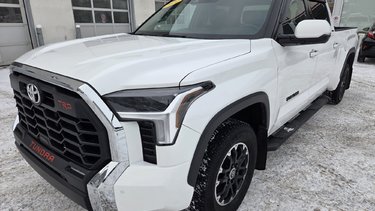2022   SR5 CrewMax TRD Off-Road 4X4