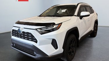 Hybrid XLE 2022