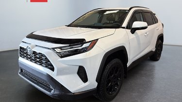Hybrid XLE 2022