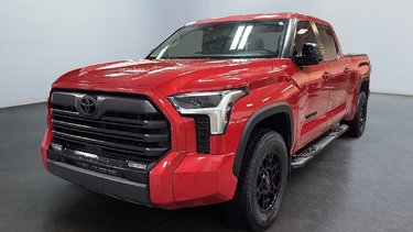 2024   LIMITED NIGHTSHADE