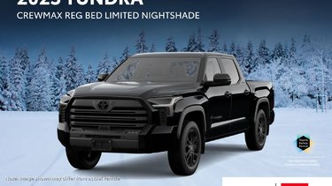 2025   LIMITED NIGHTSHADE