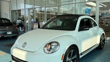 Beetle SPORTLINE
