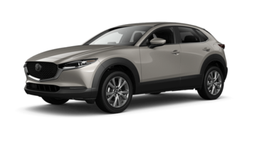 CX-30 GS