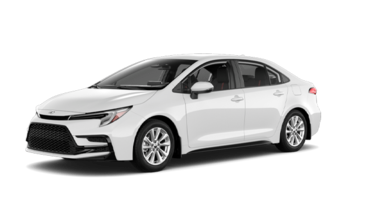 2025   SE
