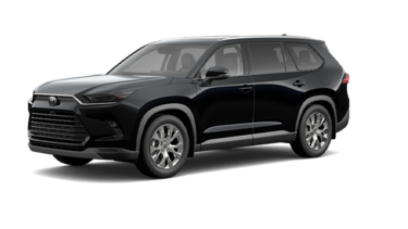 Limited 8-Pass 2025