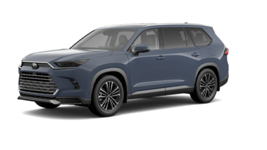 2025   Platinum Hybrid MAX