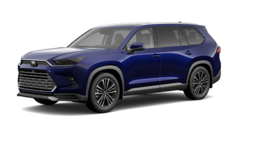 2025   Platinum Hybrid MAX