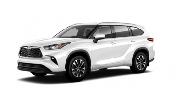 2025   XLE