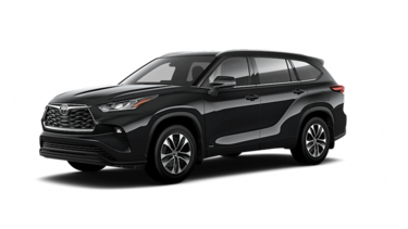 2025   XLE