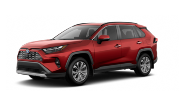 2025   LIMITED