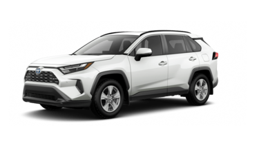 2025   XLE