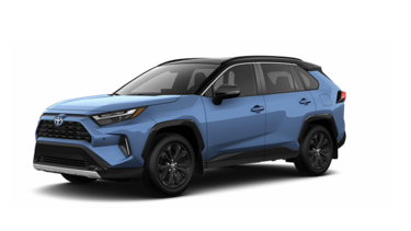 2025   XSE