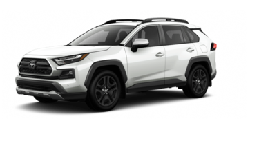 2025   TRAIL