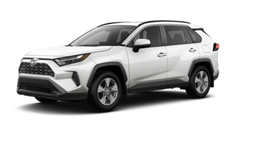2025   XLE