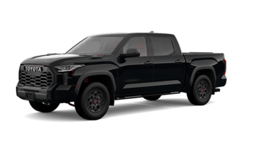 2025   LTD