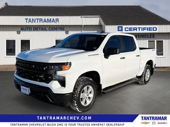 2025 Chevrolet Silverado 1500 Work Truck