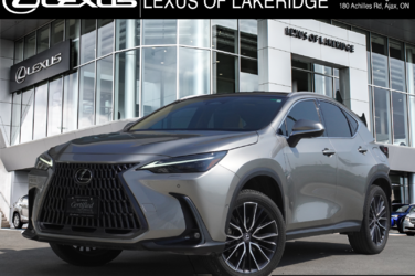 NX 350h EXECUTIVE|360 CAM|M/LEVINSON|NAVI|14 DISPLAY