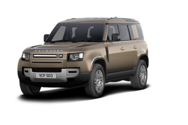Defender 110 P300 S