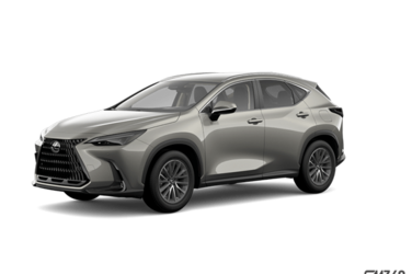 NX 250