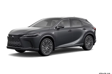 RX 350 LUXURY|WIRELESS|14 DISPLAY|H/V FRONT SEATS