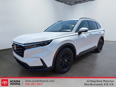 2025   Sport