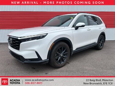 2025   Sport