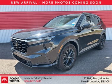 2025   Sport