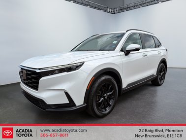 2025   Sport