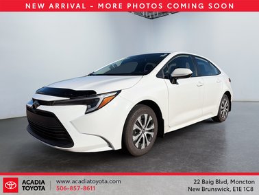 2026   LE
